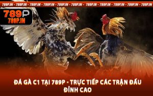 Đá Gà C1 Tại 789P - Trực Tiếp Các Trận Đấu Đỉnh Cao
